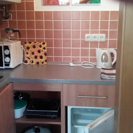Apartman Pps Apartment Zelezna Ruda