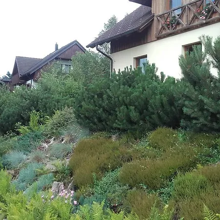 Apartman Pps Apartment Zelezna Ruda